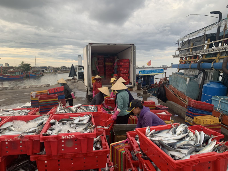 Chi cục Thủy sản luôn phối hợp với Văn phòng đại diện thanh tra, kiểm soát nghề cá tích cực thực hiện kiểm tra, kiểm soát tàu cá xuất bến, cập cảng.