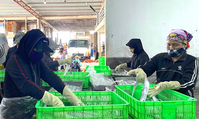 Các mặt hàng hải sản của Quảng Bình luôn được người tiêu dùng trong cả nước yêu thích và lựa chọn.