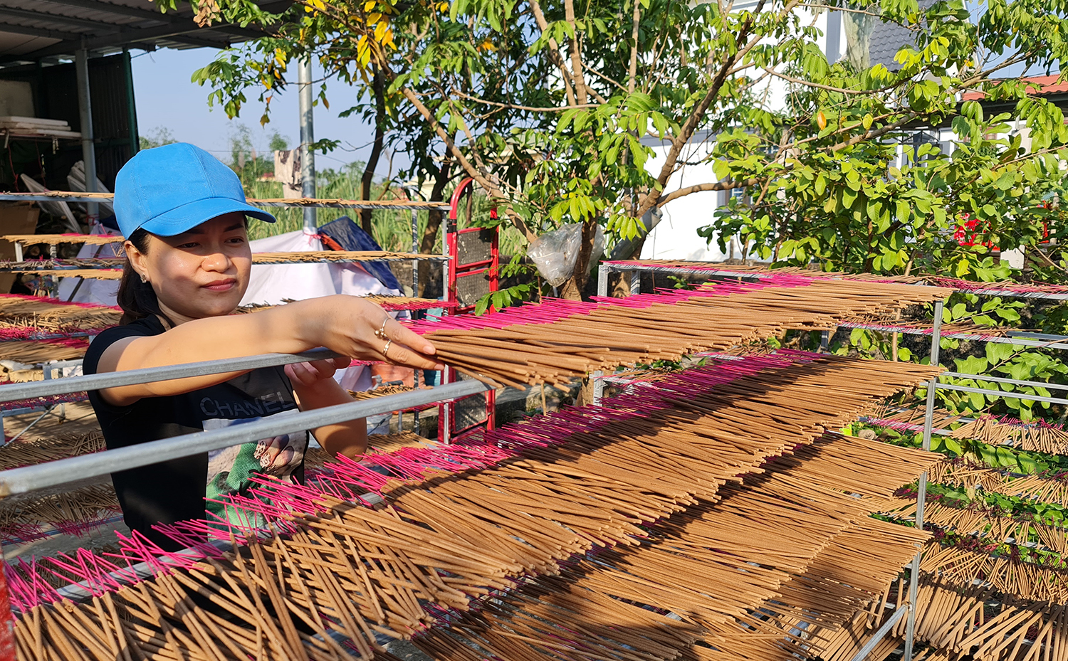 Năm 2023, xã Duy Ninh (Quảng Ninh) dự định chọn trầm hương dự thi OCOP.