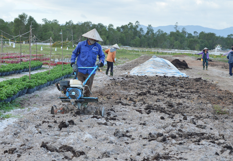 Sử dụng phân hữu cơ, sinh học góp phần hạn chế tình trạng ô nhiễm môi trường khu vực nông thôn.