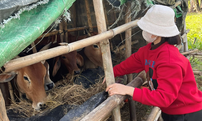 Nhờ được hỗ trợ nguồn vốn sinh kế ban đầu, nhiều hộ đã thoát nghèo bền vững.