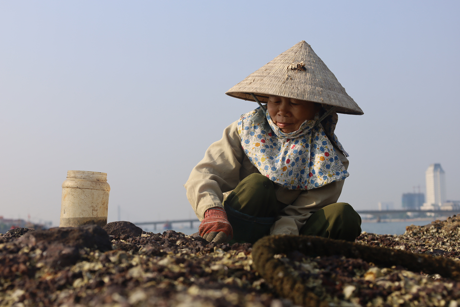 Nghề cạy hàu ở bãi đá nơi cửa sông Nhật Lệ.