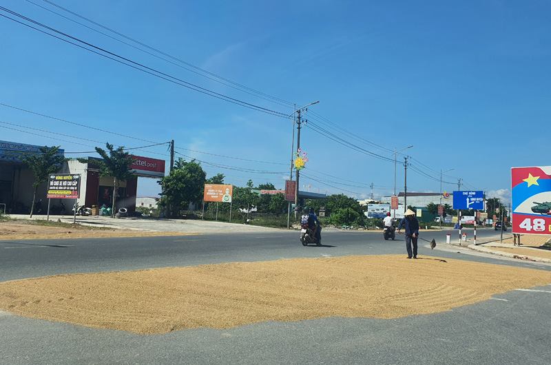 Người dân vô tư phơi lúa trên các tuyến đường chính  dẫn vào thị trấn Kiến Giang và trung tâm của thị trấn Kiến Giang.