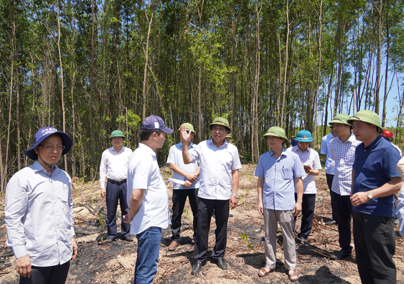  Đồng chí Phó Chủ tịch Thường trực UBND tỉnh Đoàn Ngọc Lâm kiểm tra thực địa tiến độ thực hiện gói thầu XL-01, dự án thành phần Vạn Ninh-Cam Lộ