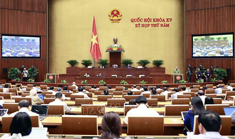 Quang cảnh phiên họp chiều 2/6. Ảnh: Doãn Tấn/TTXVN