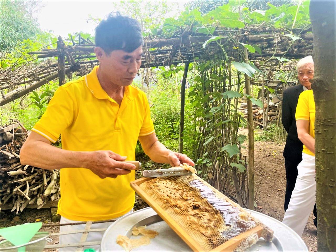 Nhiều tấm gương người cao tuổi tiêu biểu trong làm ăn kinh tế giỏi.