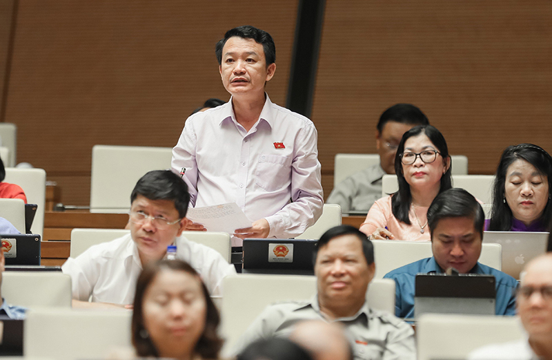 Đại biểu Trần Quang Minh chất vấn sáng 6/6