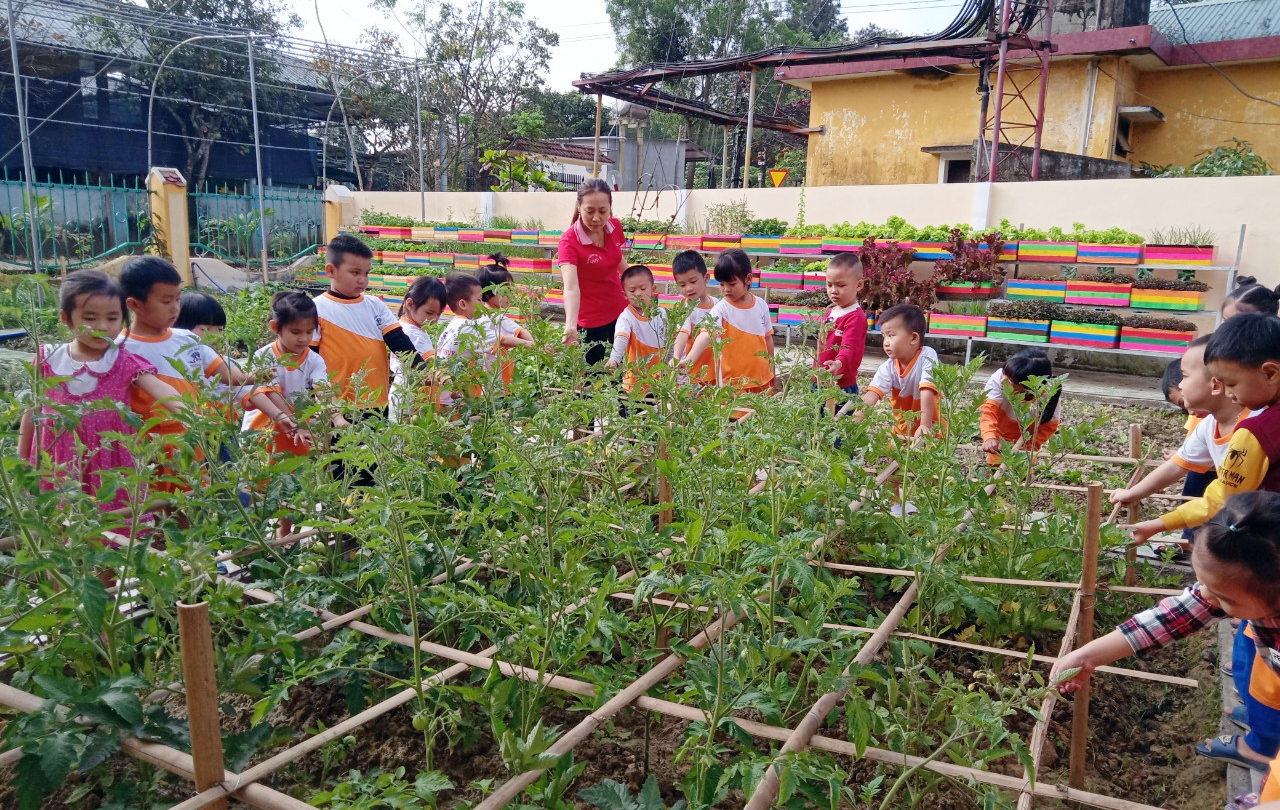 Mô hình “Vườn rau của bé” là một trong những sáng kiến mở rộng không gian khám phá, trải nghiệm ngoài trời nhằm giúp trẻ phát triển toàn diện.