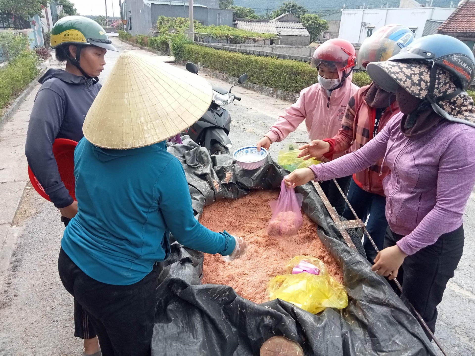 Đưa lên xe đi tiêu thụ.