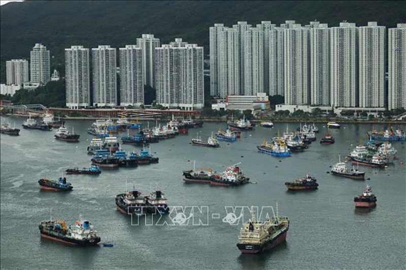 Tàu thuyền neo đậu tránh bão Talim tại Hong Kong, Trung Quốc ngày 16/7/2023. Ảnh: AFP/TTXVN