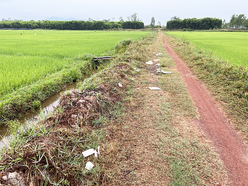Rác thải ngổn ngang trên tuyến nội đồng của thôn 6 xã Lý Trạch (Bố Trạch) dù cách đó không xa có đặt 2 bể chứa rác thải.