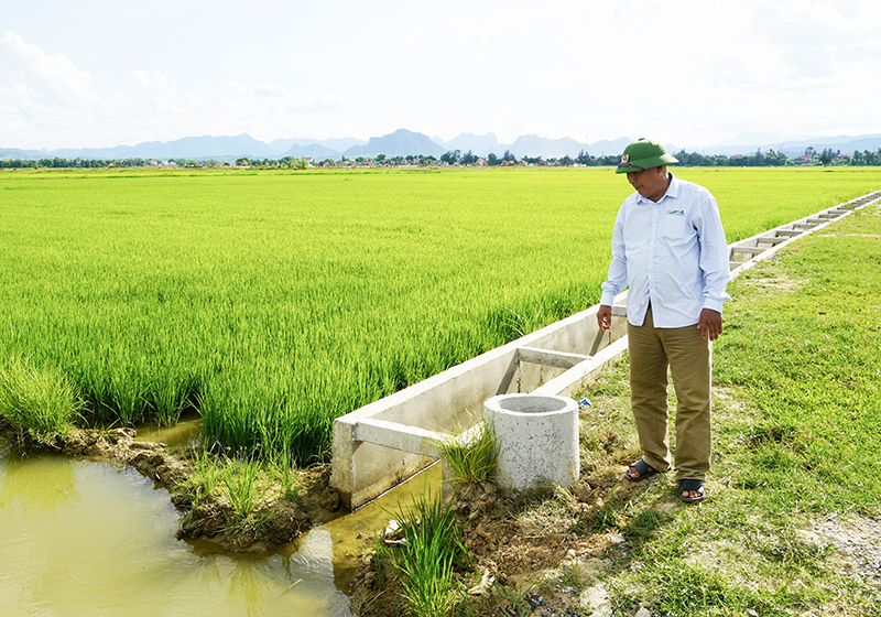 Theo đánh giá, mô hình bể chứa rác thải đồng ruộng của HTX Nông nghiệp Nguyệt Áng, xã Tân Ninh (Quảng Ninh) chỉ đạt khoảng 20% hiệu quả.