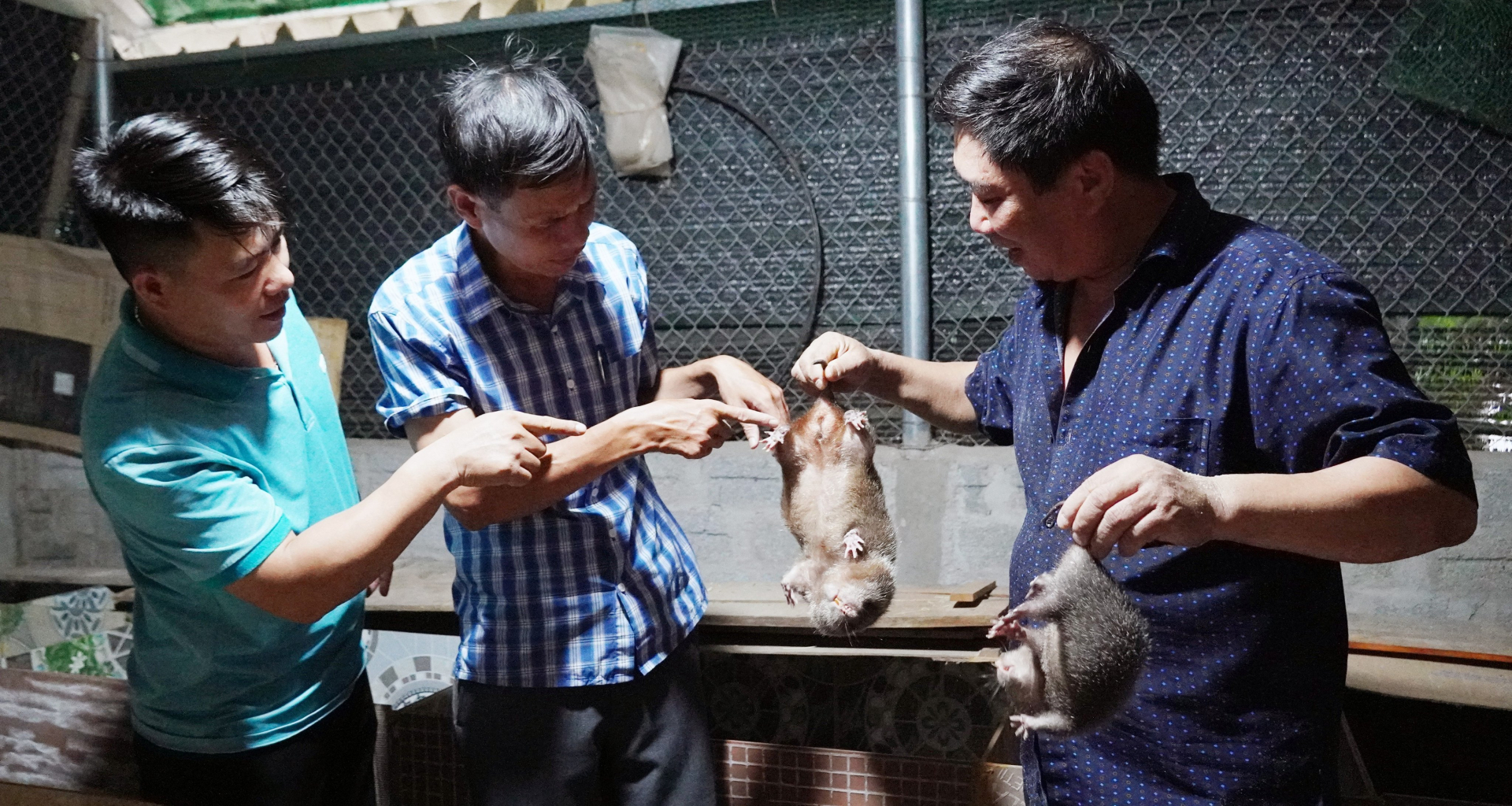  Nhiều nông dân Tuyên Hóa mạnh dạn chuyển đổi sang các mô hình chăn nuôi mới, ứng dụng khoa học công nghệ trong sản xuất, mang lại hiệu quả cao.