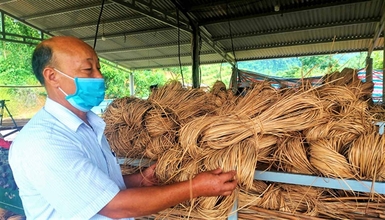 Ông Lê Viết Sơn kiểm tra nguyên liệu mây.