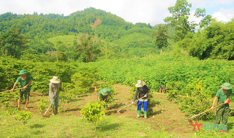 Cán bộ, chiến sĩ Sư đoàn 968, Quân khu 4 giúp bà con xã Hướng Sơn, huyện Hướng Hóa lao động sản xuất. Ảnh: THANH HẢI