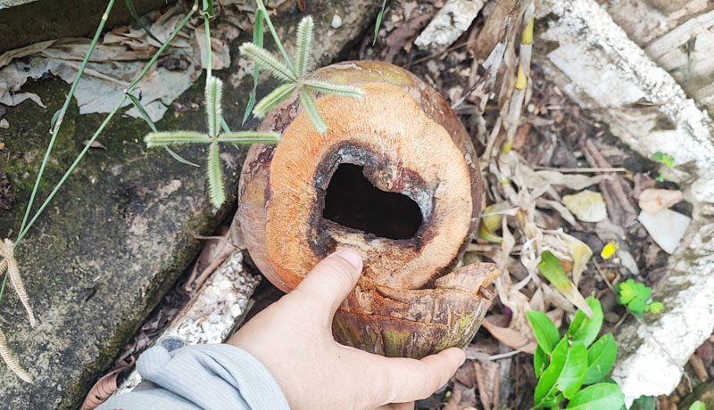 Những nơi chứa loăng quăng phát sinh nguồn muỗi gây bệnh.