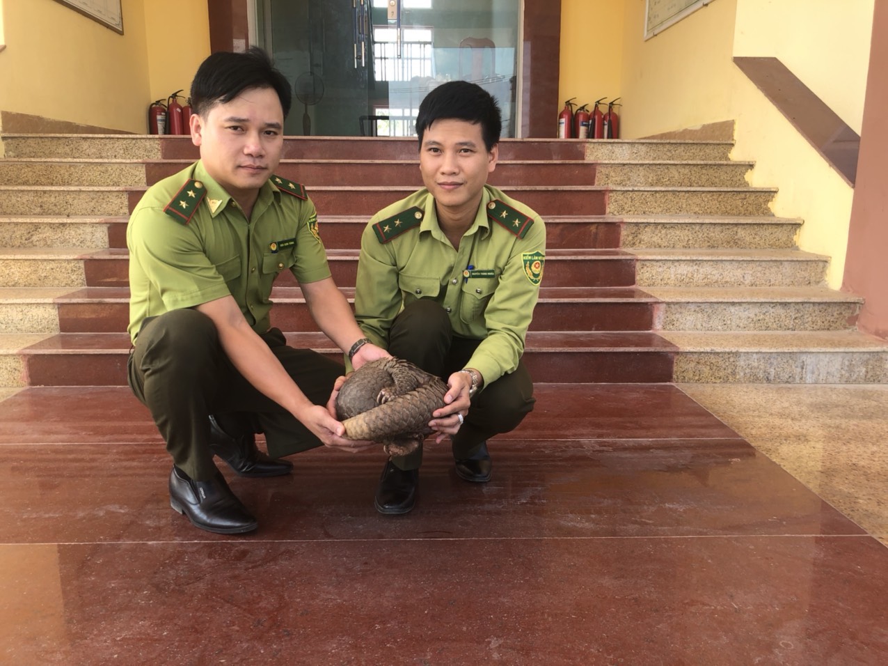 Cá thể tê tê Java quý hiếm được người dân phát hiện