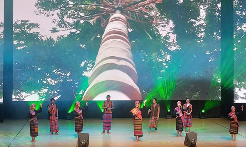 Một tiết mục văn nghệ do các thành viên đoàn Quảng Bình biểu diễn.