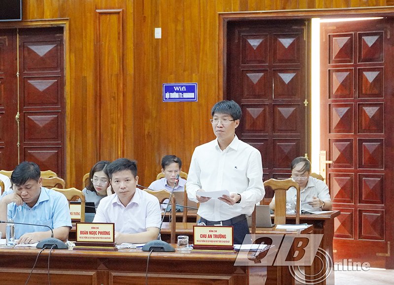 Đại diện lãnh đạo Cục quy hoạch và Phát triển tài nguyên đất (Bộ TN-MT) phát biểu tại buổi làm việc.