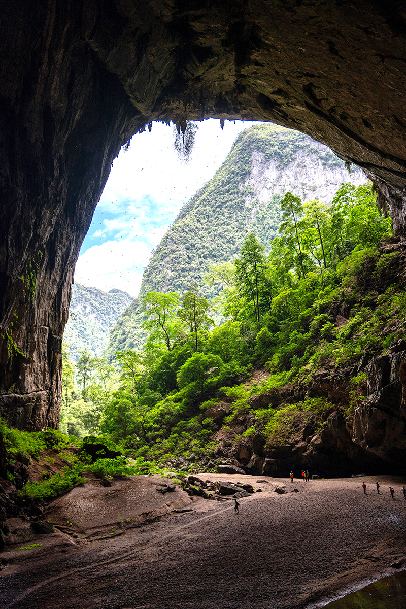 Hang Én là nơi cư ngụ của hàng triệu con chim én. Ảnh Oxalis Adventure