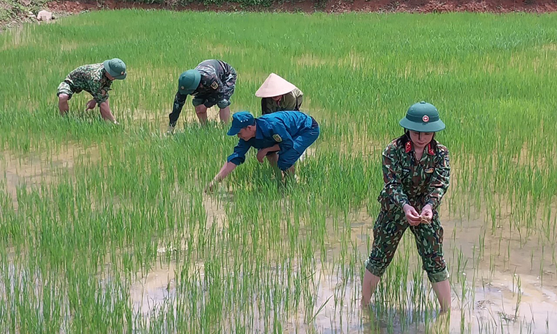 Hướng dẫn bà con bản Bạch Đàn, xã Lâm Thủy chăm sóc lúa nước. -