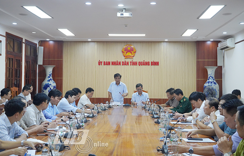 Đồng chí Phó Chủ tịch Thường trực UBND tỉnh Đoàn Ngọc Lâm phát biểu tại buổi làm việc.