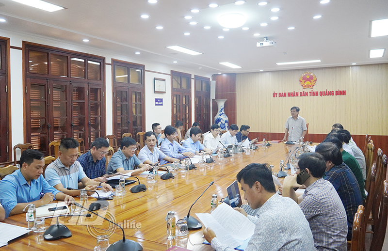 Đồng chí Phó Chủ tịch thường trực UBND tỉnh Đoàn Ngọc Lâm chỉ đạo phải giải quyết dứt điểm các vướng mắc trong công tác bồi thường, giải phóng mặt bằng của dự án. kiểm tra thực địa một điểm đang cần GPMB gấp để mở đường vận chuyển vật liệu.