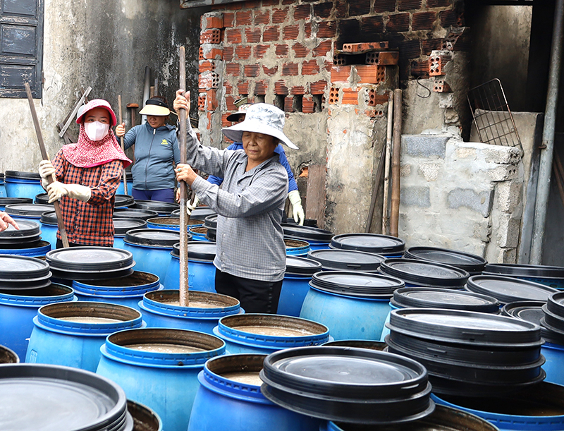 Đồng Hới phát triển dịch vụ hậu cần nghề cá nhờ sản lượng khai thác cá, tôm và các loại thủy sản ngày càng tăng.