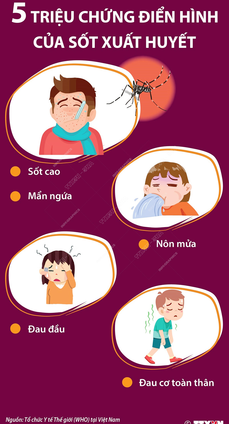 Các triệu chứng điển hình của SXH người dân cần lưu ý để đến ngay cơ sở y tế để được tư vấn và điều trị.