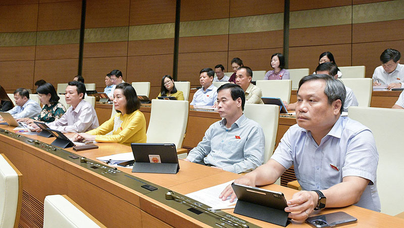 Đoàn Đại biểu Quốc hội tỉnh tại phiên họp chiều 31/10