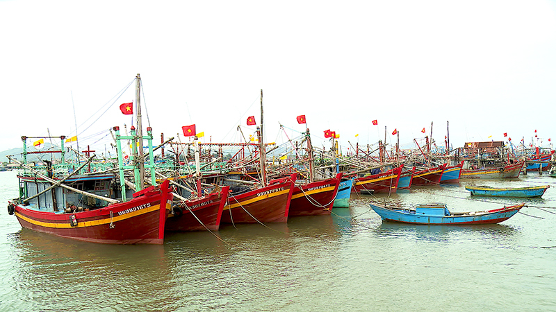 TX. Ba Đồn có hơn 400 tàu cá chiều dài 12m trở lên.