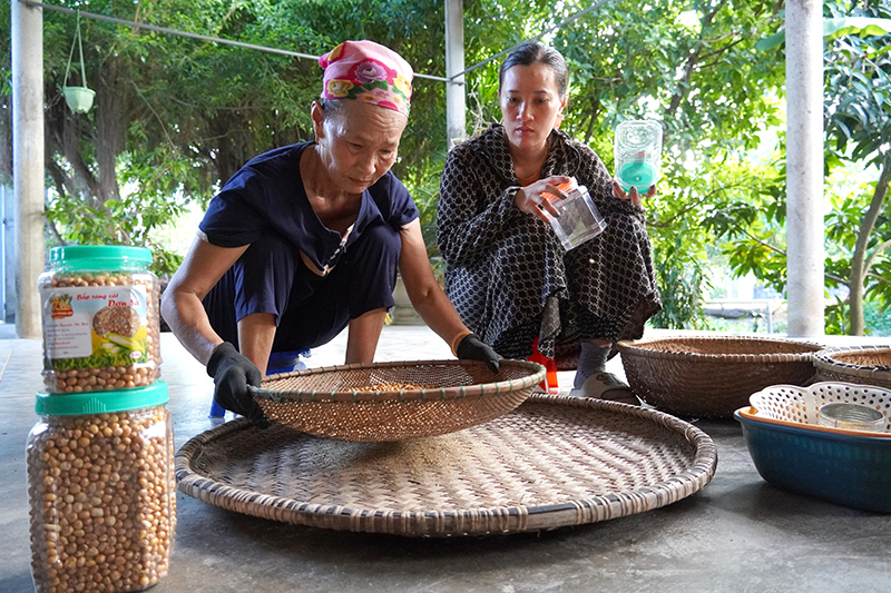Khi rang chín, bắp được đổ ra rổ để sàng nhiều lần lọc cát.