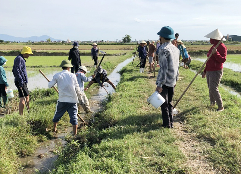  Bà con nông dân xã Bắc Trạch tích cực ra đồng diệt chuột.