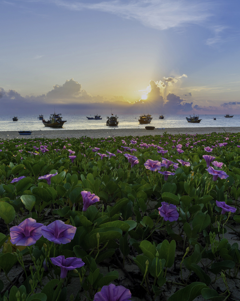 Sắc thu.