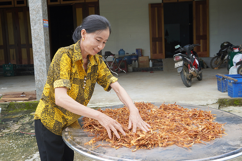 Người dân xã Hóa Thanh phơi măng khô.