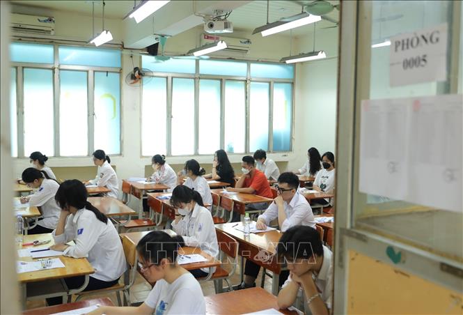 Ảnh minh họa: Hoàng Hiếu/TTXVN