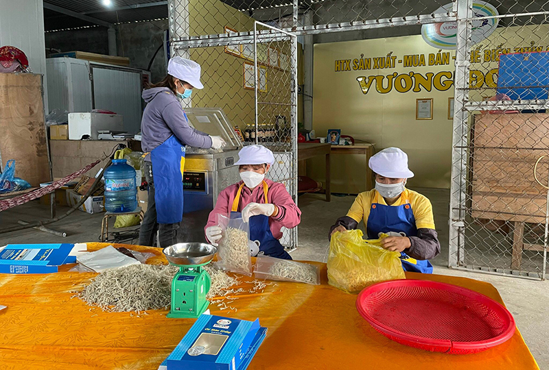 Nhiều mô hình sản xuất ở nông thôn phát huy hiệu quả.