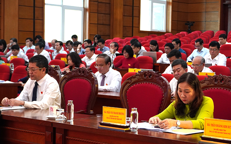 Các đại biểu dự kỳ họp.