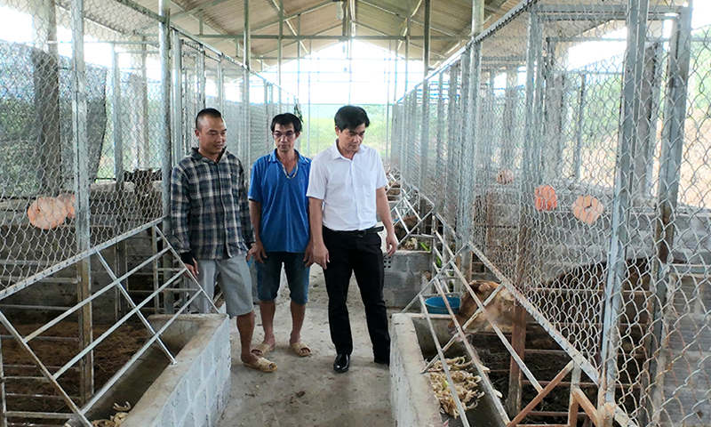 Chuồng trại chăn nuôi hươu được thiết kế thoáng mát, sạch sẽ.
