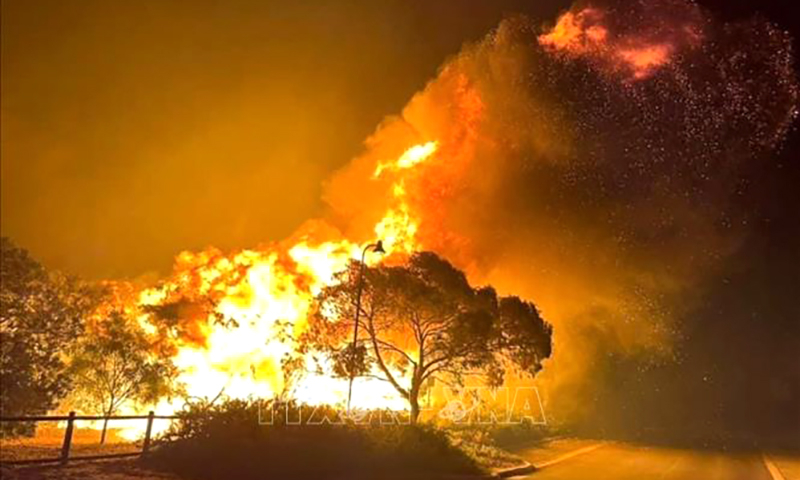 Ngày 23/11/2023, lực lượng cứu hỏa Australia nỗ lực ứng phó với một đám cháy rừng lan nhanh ở ngoại ô thủ phủ Perth của bang Tây Australia trong một đợt nắng nóng gay gắt. Ngọn lửa đã thiêu rụi 10 ngôi nhà, 4 nhà kho và một số ô tô. Ảnh: AFP/TTXVN