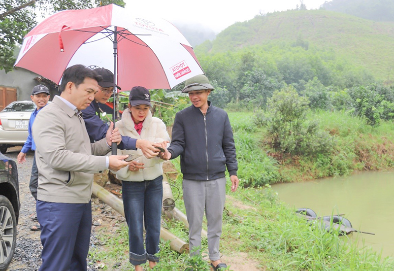 Mô hình nuôi con giống trai đen cánh dày của TTDVNN huyện Tuyên Hóa.