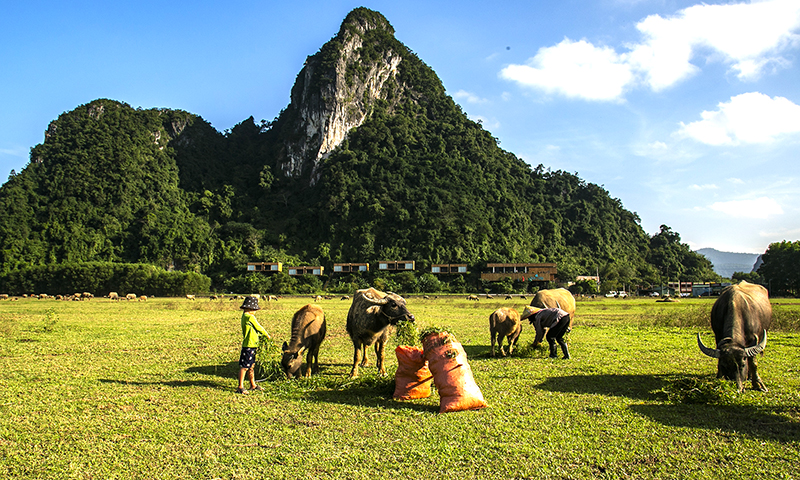  Trên đồng cỏ Tú Làn.