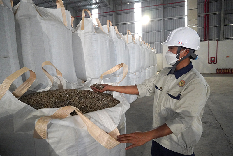 Viên nén năng lượng được tạo ra từ gỗ rừng trồng và một số phụ phẩm nông-lâm-nghiệp.