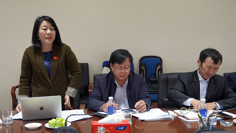 Đại biểu Nguyễn Thi Tuyết Nga phát biểu tại buổi giám sát