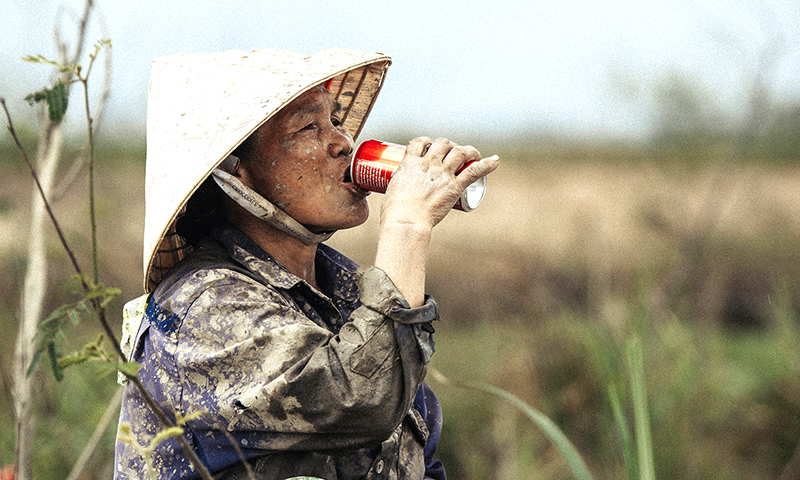 Ảnh minh họa.