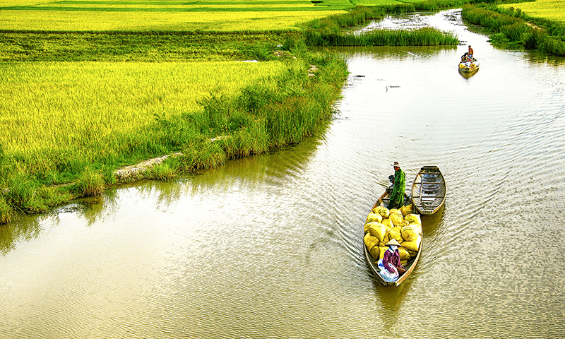 Một thoáng sông quê. Ảnh: Hoàng An