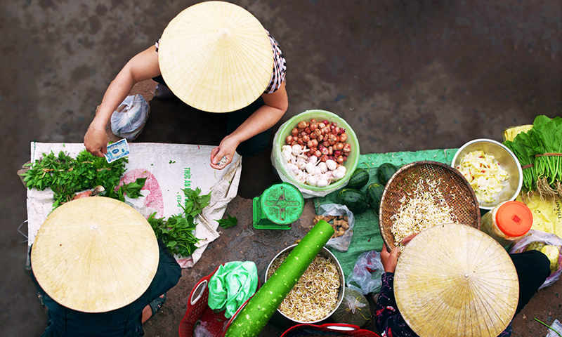 Cây nhà lá vườn.