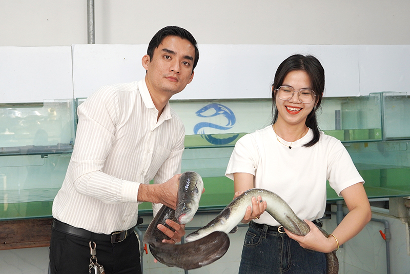 Cá chình-sản vật tiến vua xưa được Trần Mạnh Thịnh phát triển, khẳng định thương hiệu trên thị trường.