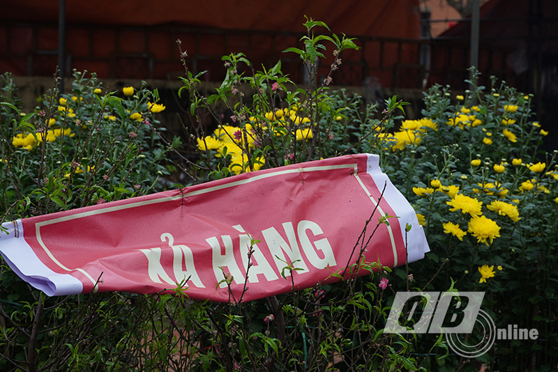 Mặt hàng hoa, cây cảnh cũng trong tình trạng phải  