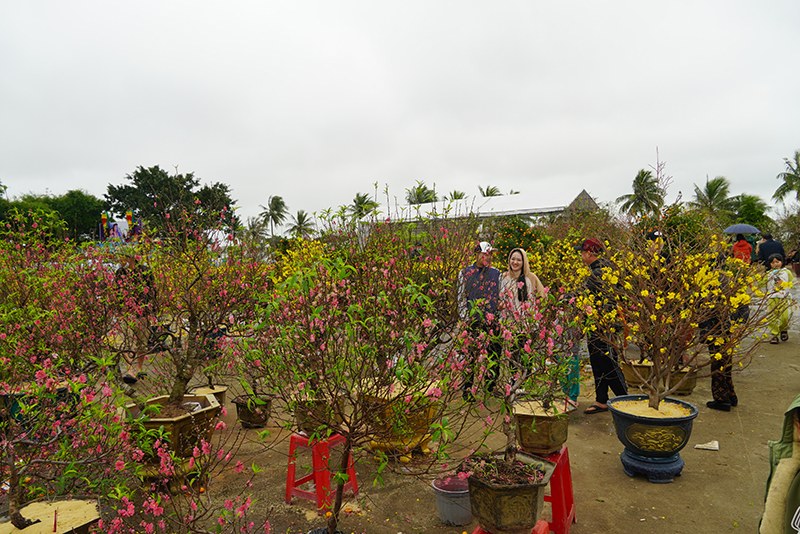 Vẫn còn rất nhiều cây cảnh ở sân nhà văn hóa cũ.